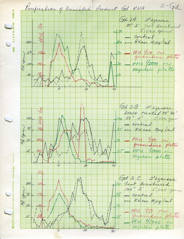 Purification of Annealed Product Gd RNA graphs. Selected page from a laboratory research binder of J. Michael Bishop, circa 1970. MSS 2007-21, carton 18, folder 3.