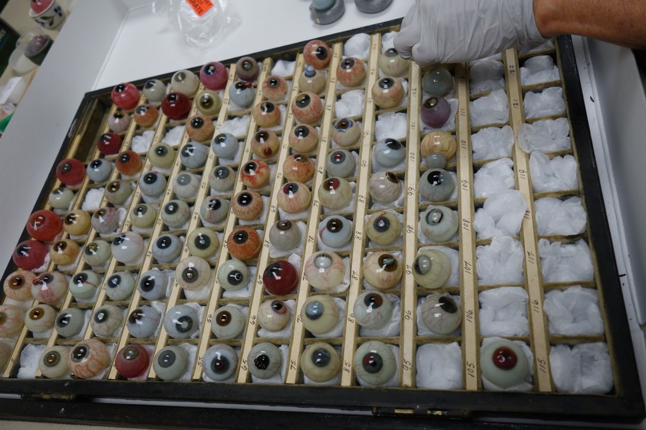 Danz collection of ocular pathology specimens